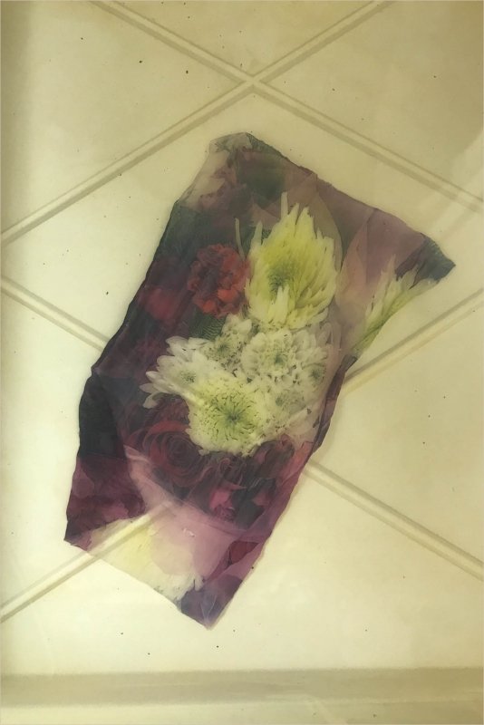 Canon Selphy emulsion lift soaking