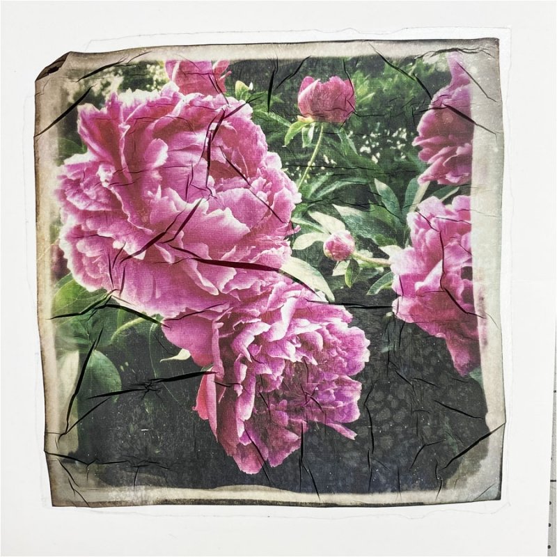 Peonies_SuperSauce emulsion lift