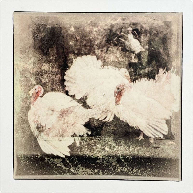 Turkeys_Purell gel transfer Arches 88