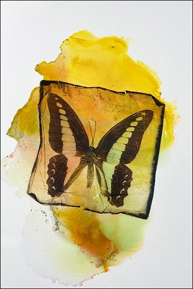 13 Emulsion lift over alcohol inks