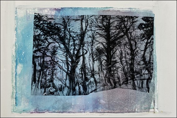 06 Ann, blue trees