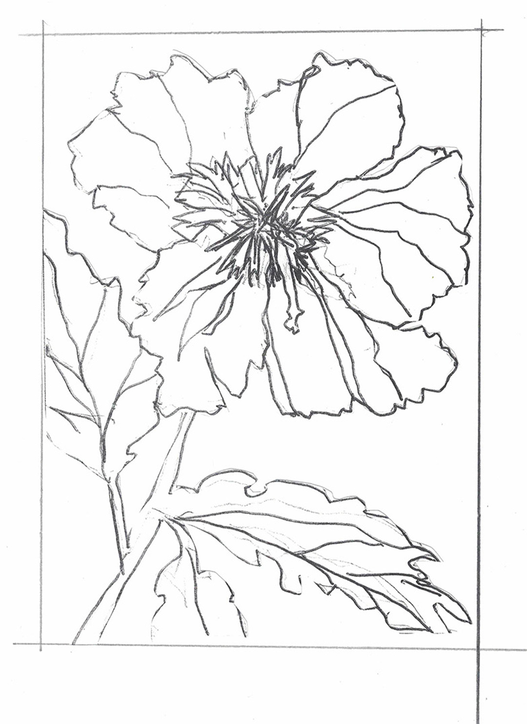 A Little Sketchy Gelatin Plate Drawing Transfers at Barbara