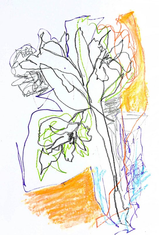 04  Drawing over blind study