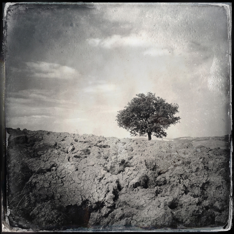 In campagna, Val d' Orcia