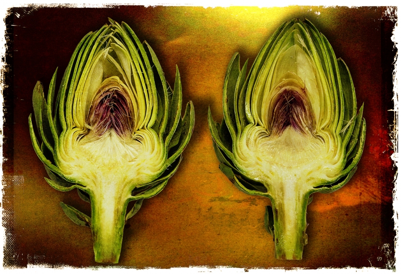 03 bfdoyle artichoke